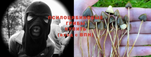 индика Дмитров