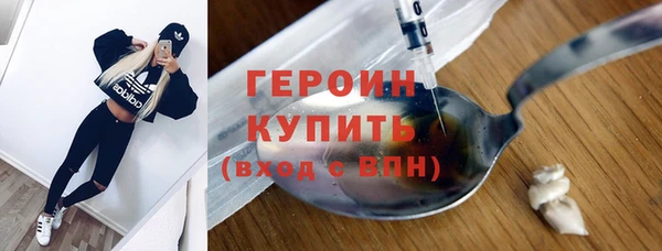 индика Дмитров
