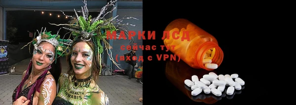 индика Дмитров
