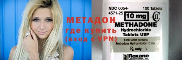 индика Дмитров