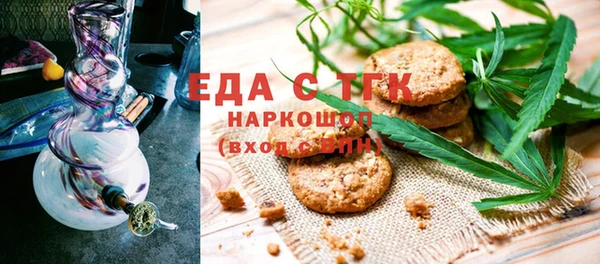 индика Дмитров