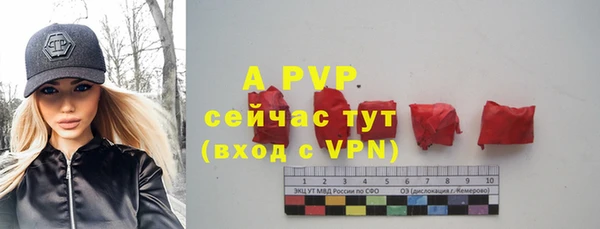 таблы Дмитриев