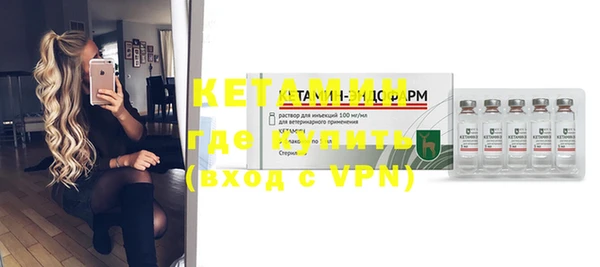 индика Дмитров