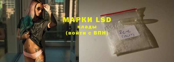 индика Дмитров