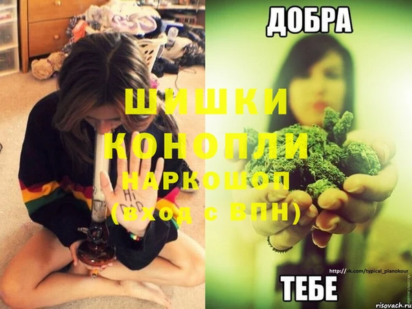 каннабис Дмитровск