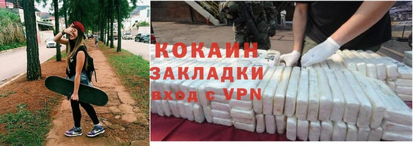 индика Дмитров
