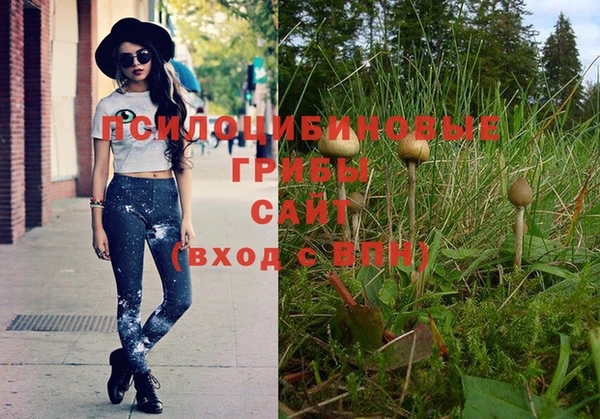 таблы Дмитриев