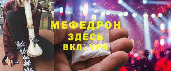 индика Дмитров