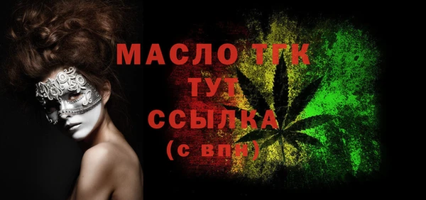 индика Дмитров