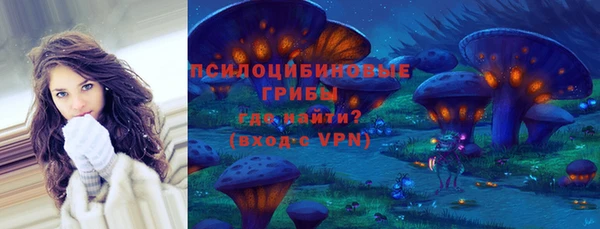индика Дмитров