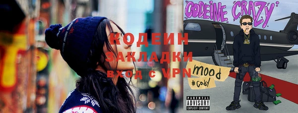 индика Дмитров